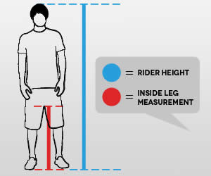 Bike Chart Inches