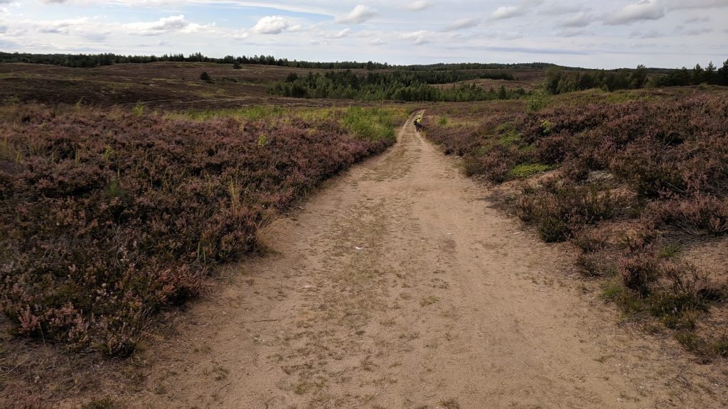 RMK hiking trail in Estonia