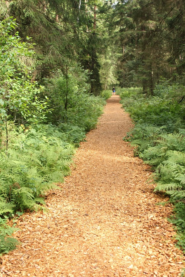Part of Estonian RMK trail