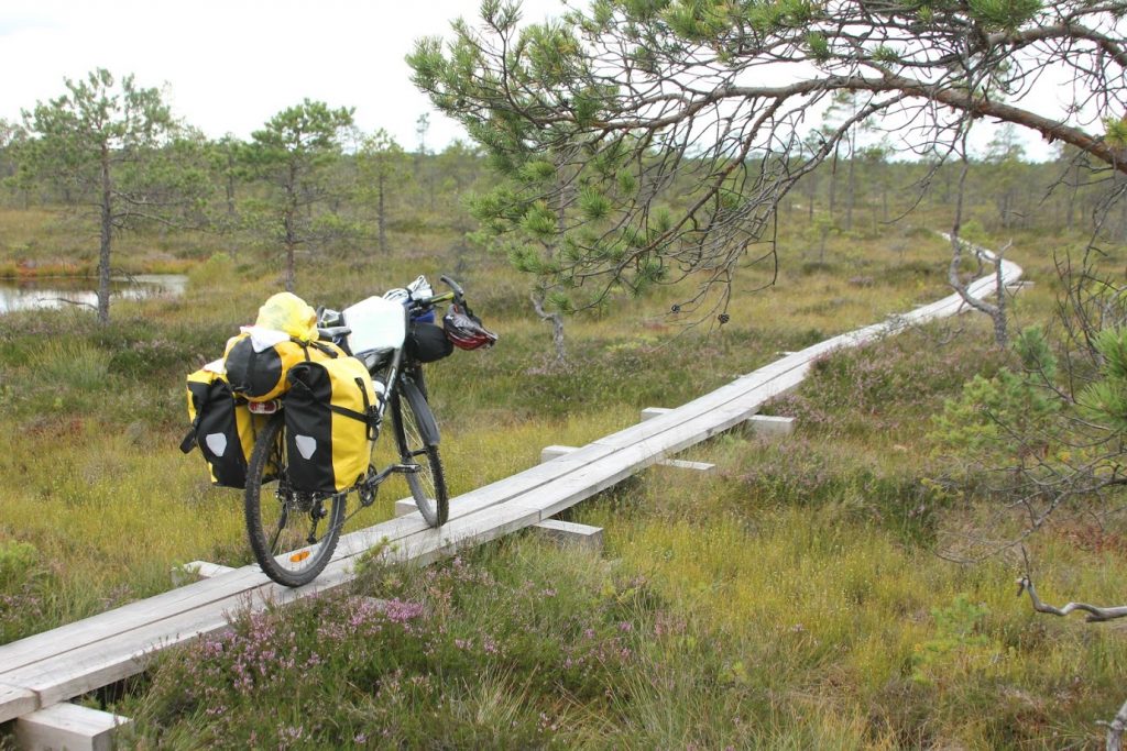 Riding in bog trail