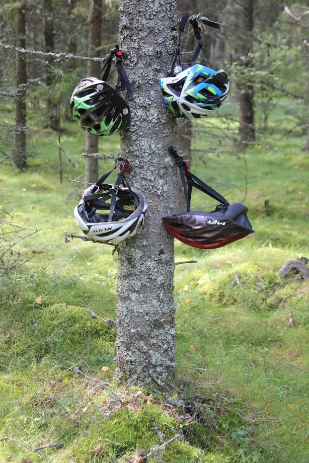 Helmets on Tree