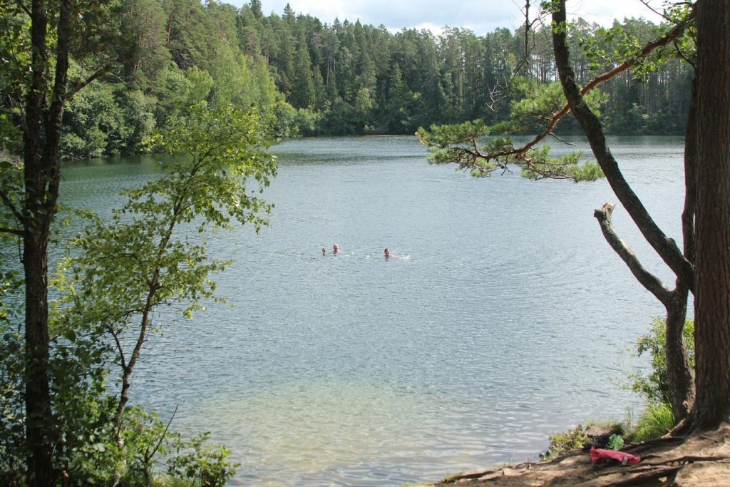 Swimming in a forest lake