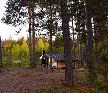 Campsite in estonia