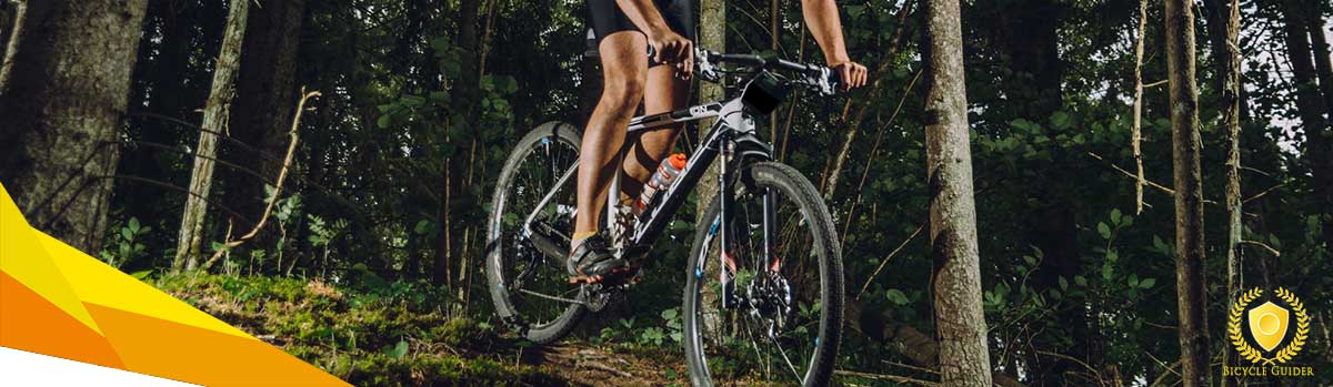 Best hardtail mountain bikes of 2020