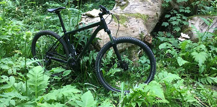 2021 cannondale trail 8