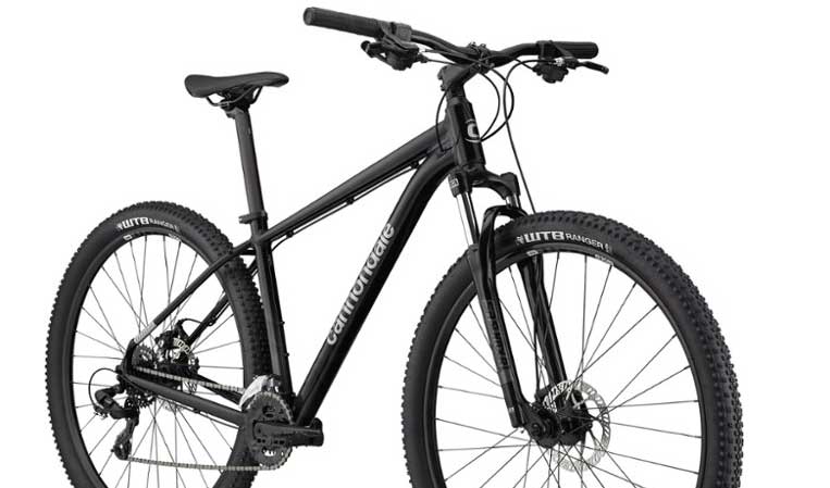 Review of Cannondale Trail 8 - Why We Love This Model