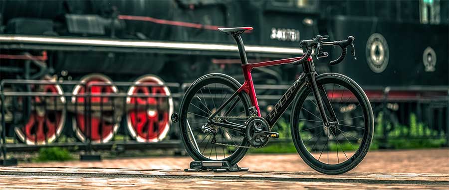 29 inch fat tire electric bike