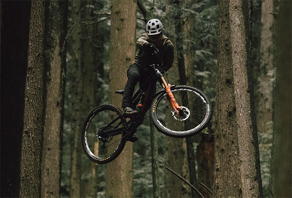 Rocky mountain dh 2025 bike