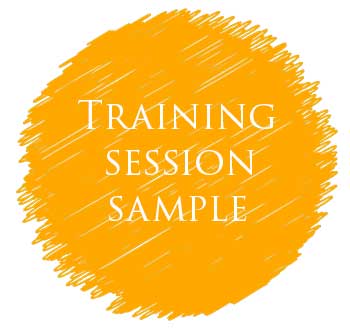 Training session sample