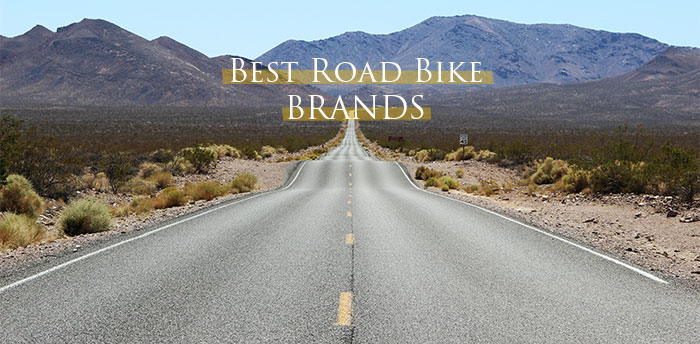 Best Road Bike Brands
