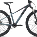 Liv Tempt mountain bike