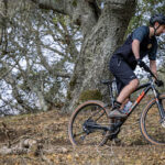 Review of Marin Bobcat Trail Series