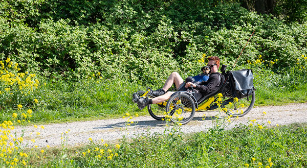 Recumbent bikes have a unique riding position