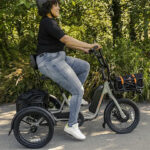 Review of Rad Power Bikes RadTrike