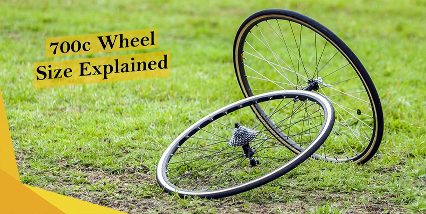 two 700c size wheels on a grassy surface