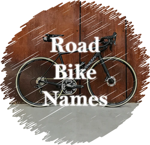 road bike names