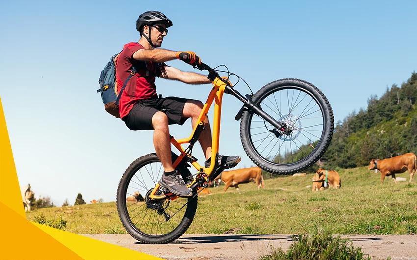 cyclist popping a wheelie on a mountain bike in a field with cows in the background