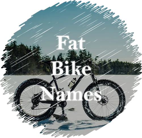 names for fat bikes