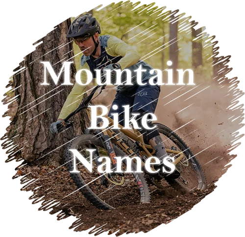 mountain bike names