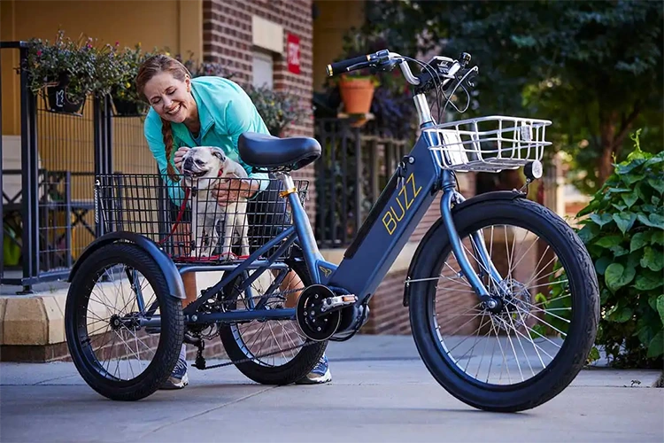 woman putting a dog into a basket of an adult tricycle