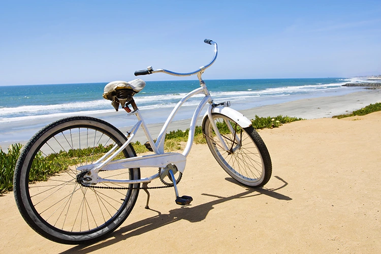 white best beach cruiser bike