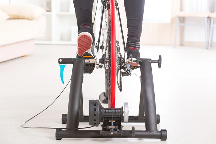 indoor bike trainer rear view