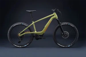 serial 1 electric mountain bike