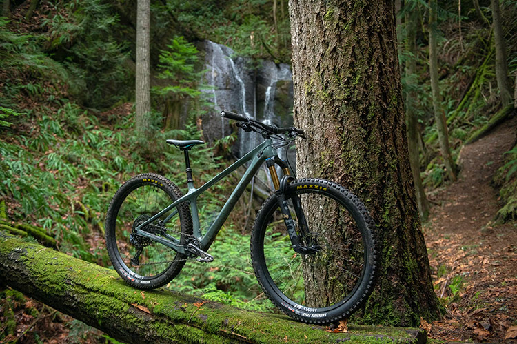 yeti cycles mountain bike in a forest