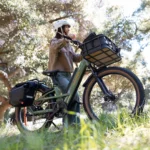 Rad power bikes radster road ebike