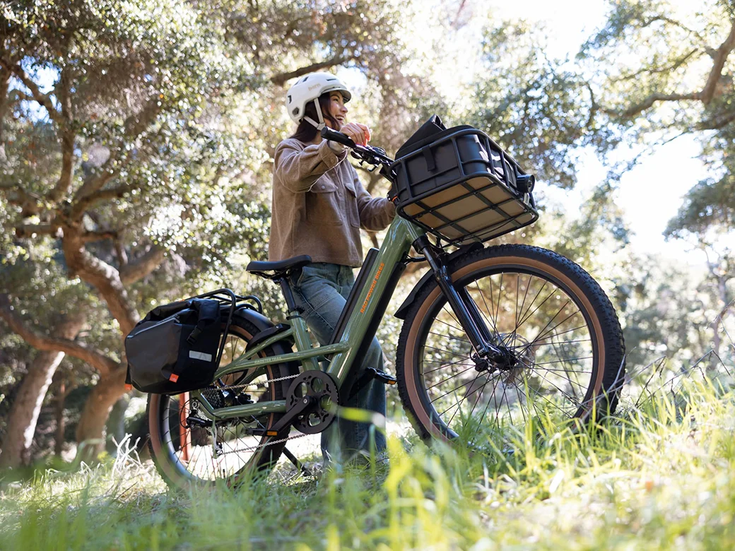 giant mountain bikes vs trek