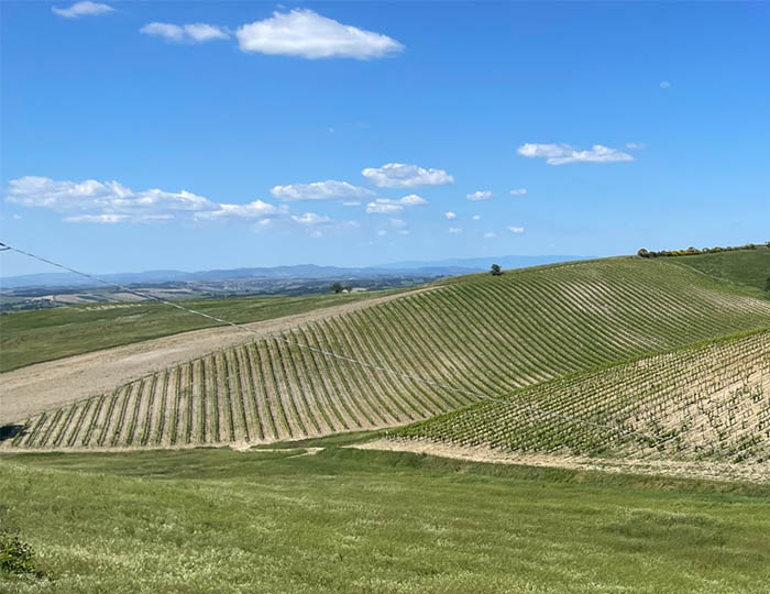 Trail Tuscany views